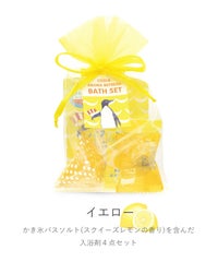 かき氷オーガンジーギフト