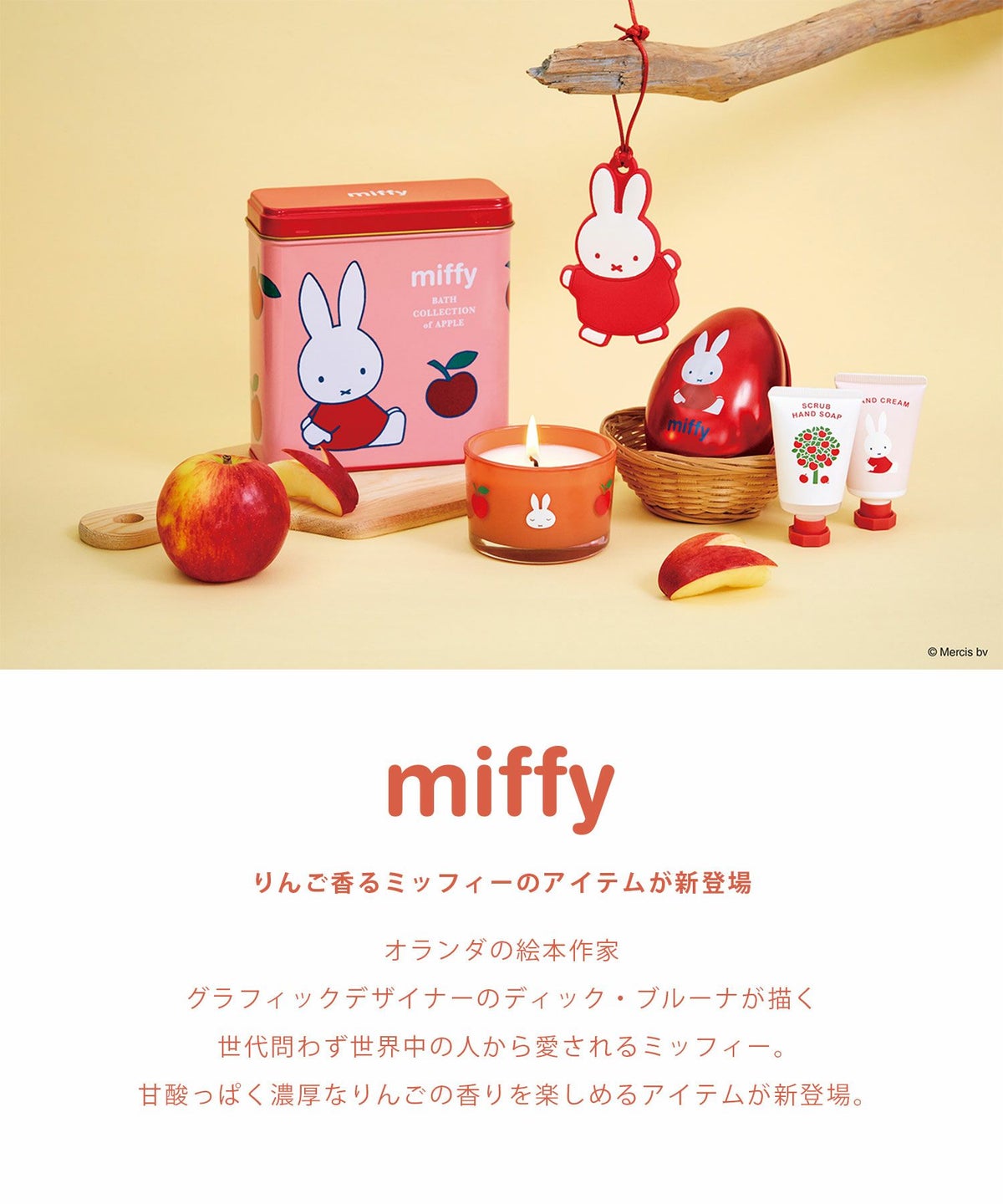 ミッフィー バスセット