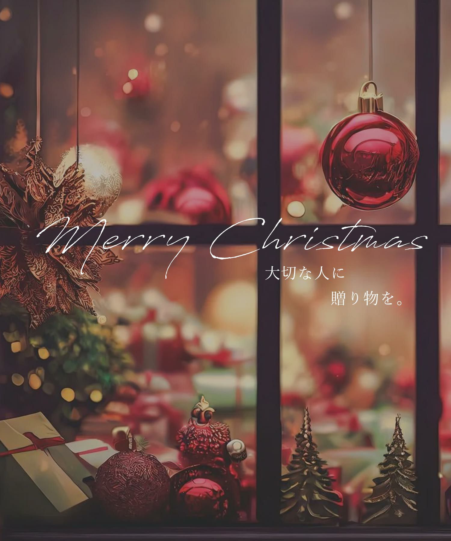 メリー＆ブライトオーガンジーセット