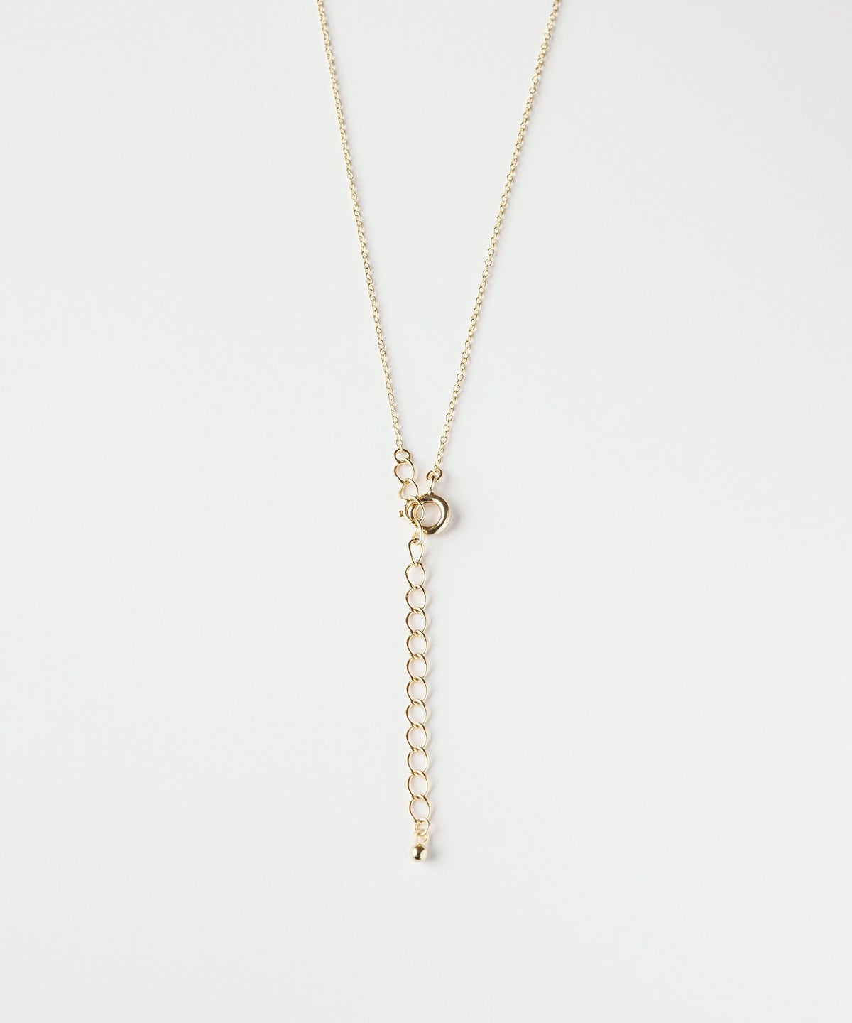 【web限定】ルミホースシューシャインネックレス【Lumirise】