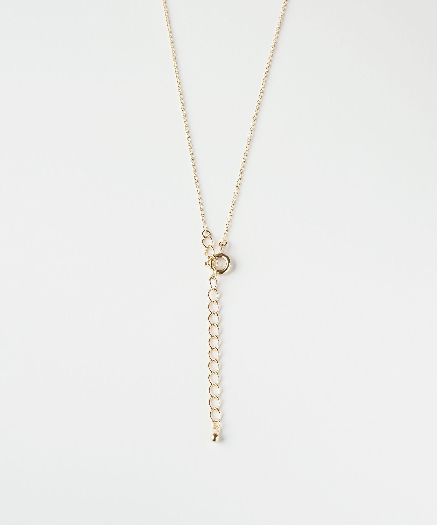 【web限定】ルミホースシューシャインネックレス【Lumirise】