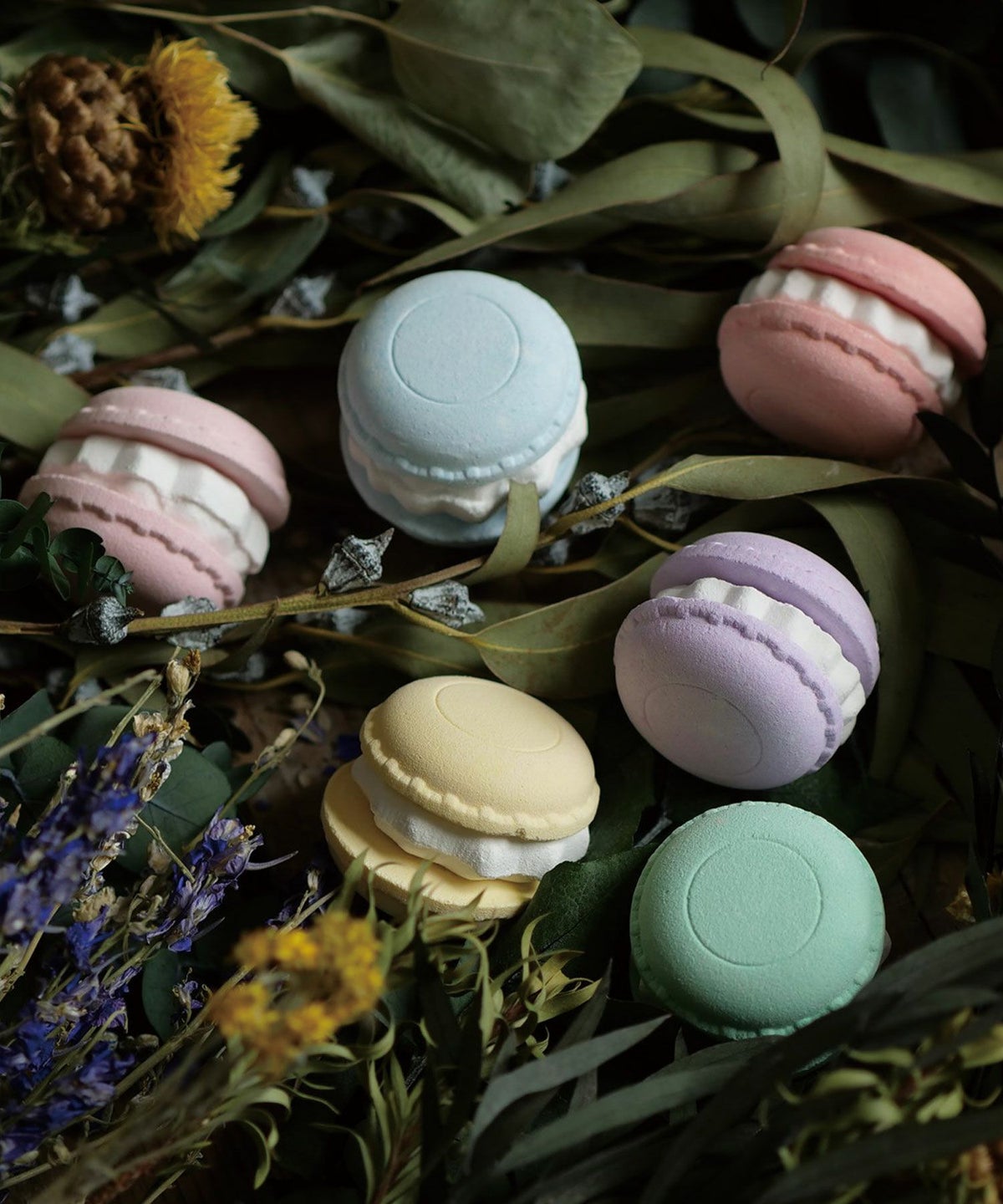 スウィーツメゾン プチマカロンフィズ コートリー