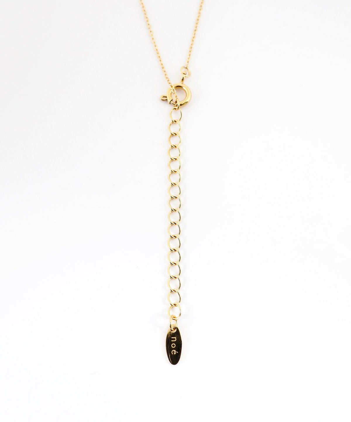 ホースシューステンレスネックレス