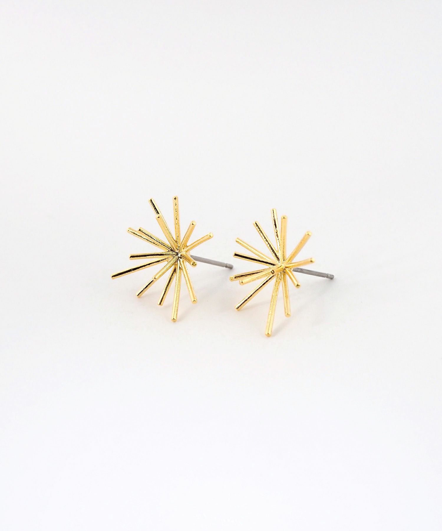 ホシハナチタンポストピアス