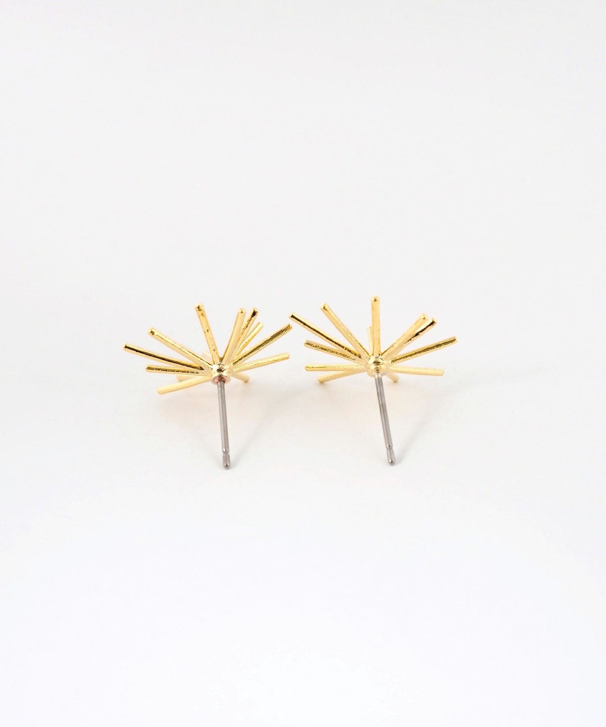 ホシハナチタンポストピアス