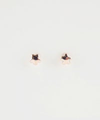 【web限定】ルミタイニースターピュアチタンポストピアス【Lumirise】