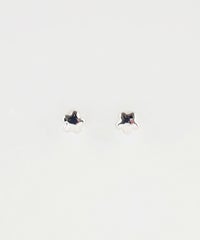 【web限定】ルミタイニースターピュアチタンポストピアス【Lumirise】