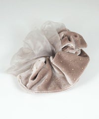 シアードットベロアシュシュ