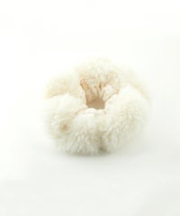 ニットファービッグシュシュ