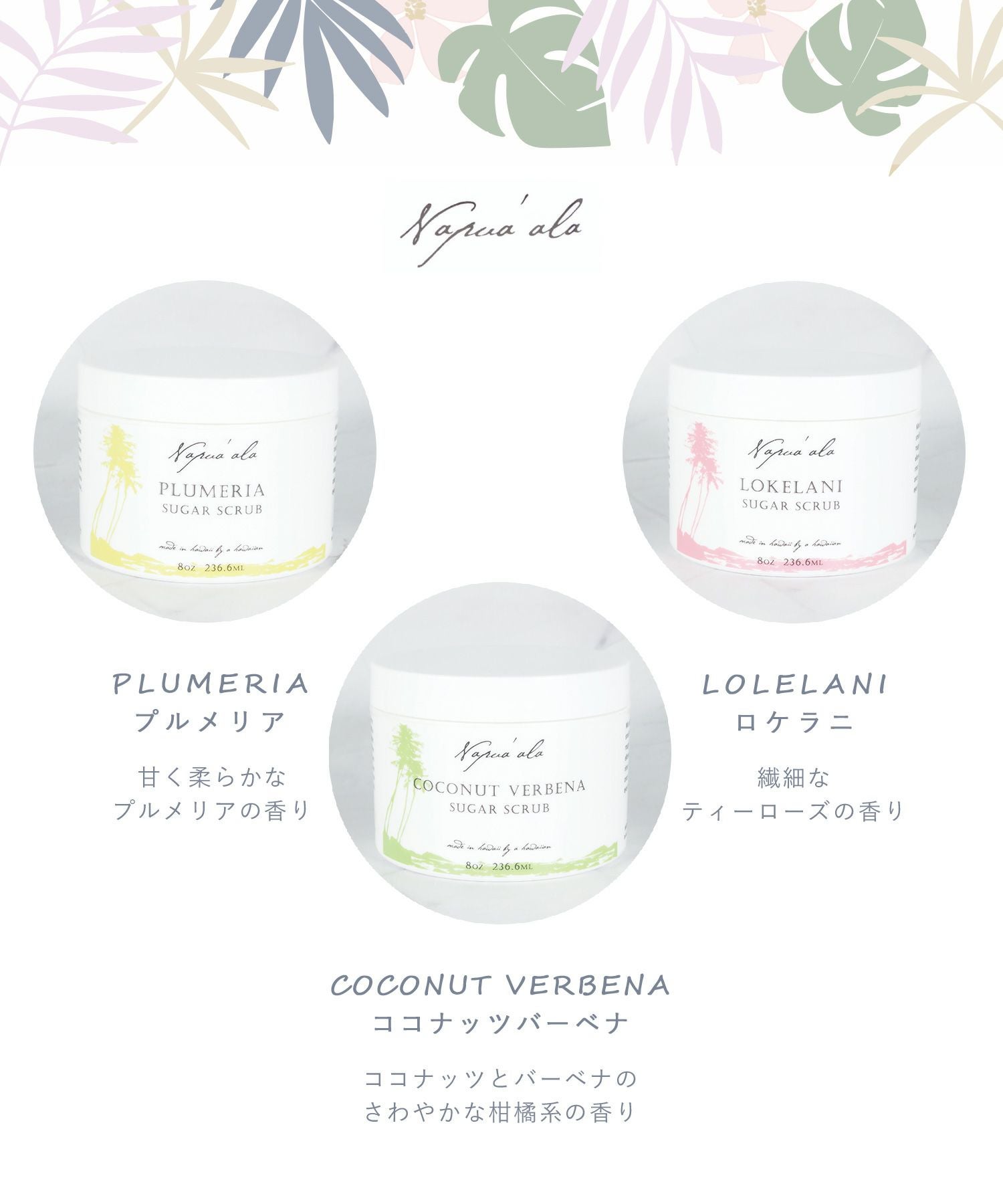 ナプアアラ シュガースクラブ