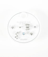 ウィンタースターズステンレスポストセットピアス