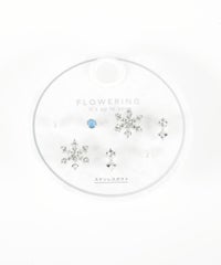 スノークリスタルステンレスポストセットピアス