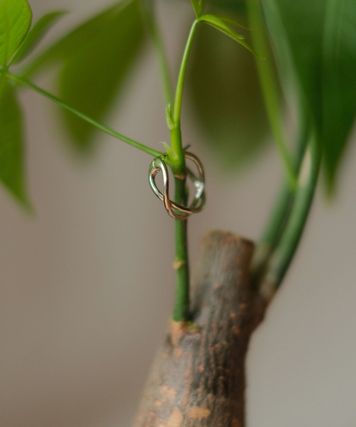 【web限定】Sleekクロスフープチタンポストピアス