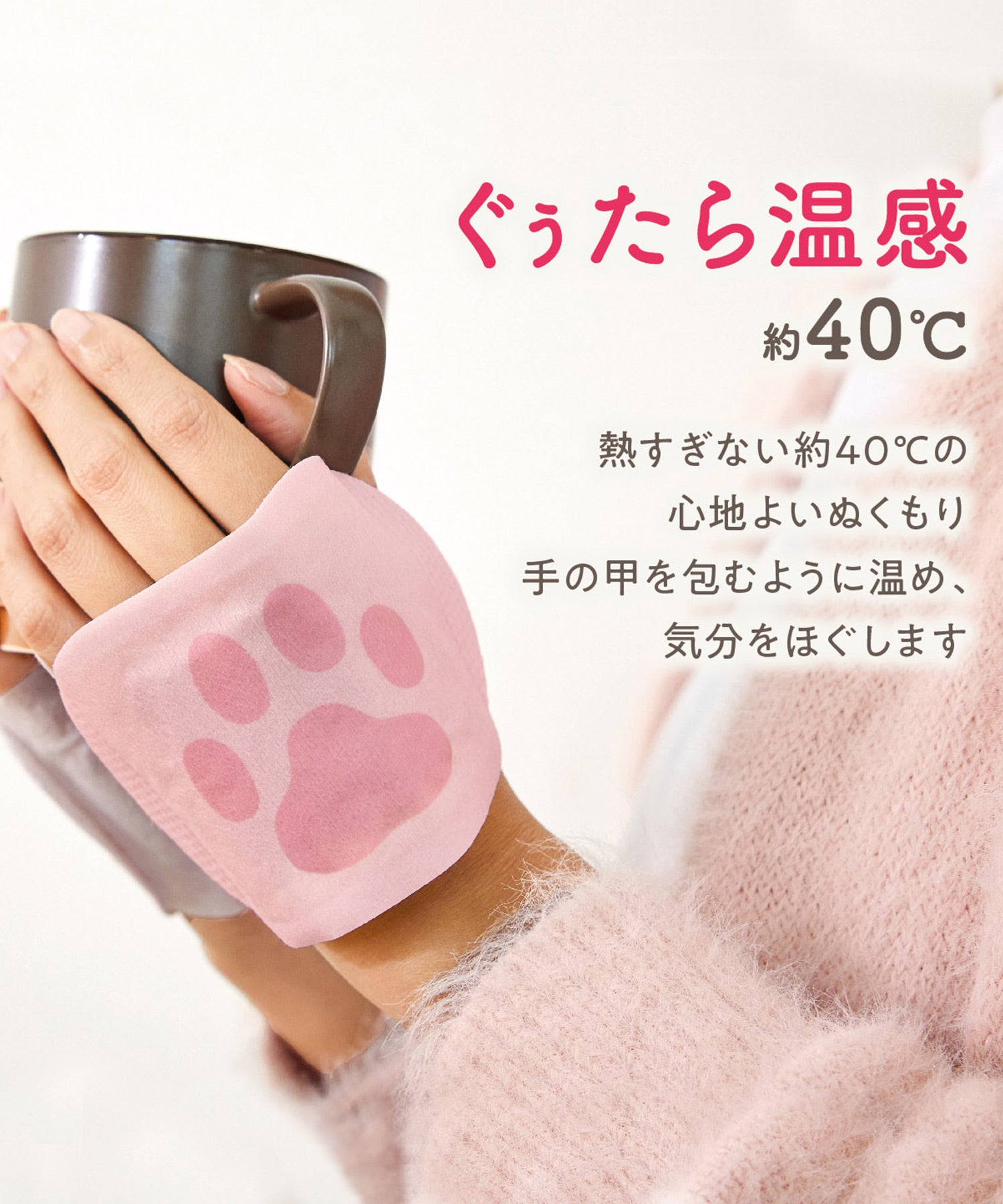ぐぅたらにゃんこ ハンドウォーマー5セット