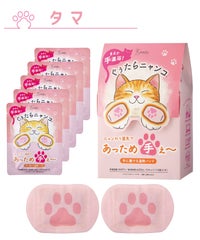 ぐぅたらにゃんこ ハンドウォーマー5セット